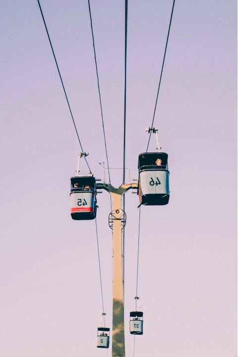 Propiedad intelectual